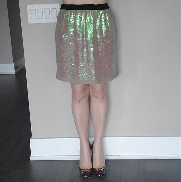 ๐ 2X HOST PICK ๐ BCBG MaxAzria Sequins Silk Skirt - Picture 9 of 15